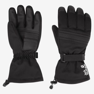INS SKI GLOVE - black